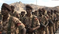 تعزيز جبهة الحديدة بوحدات من الجيش السوداني وألوية العمالقة