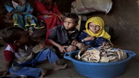 تقرير أممي يتوقع تفاقم أزمة انعدام الأمن الغذائي في اليمن 