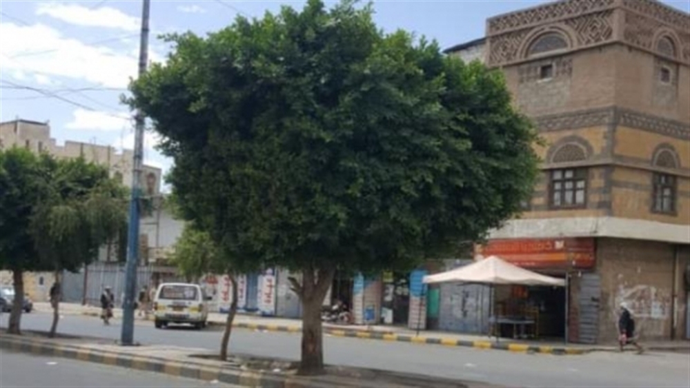شاب يمني يسكن فوق شجرة!