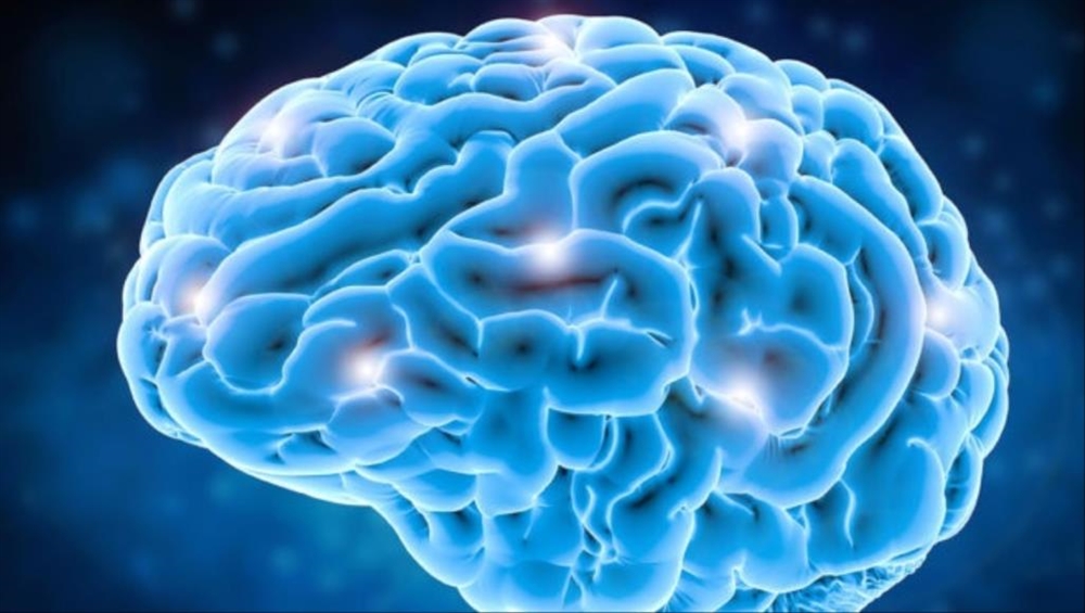 كيف يعمل الدماغ لتنظيم أفكارنا؟