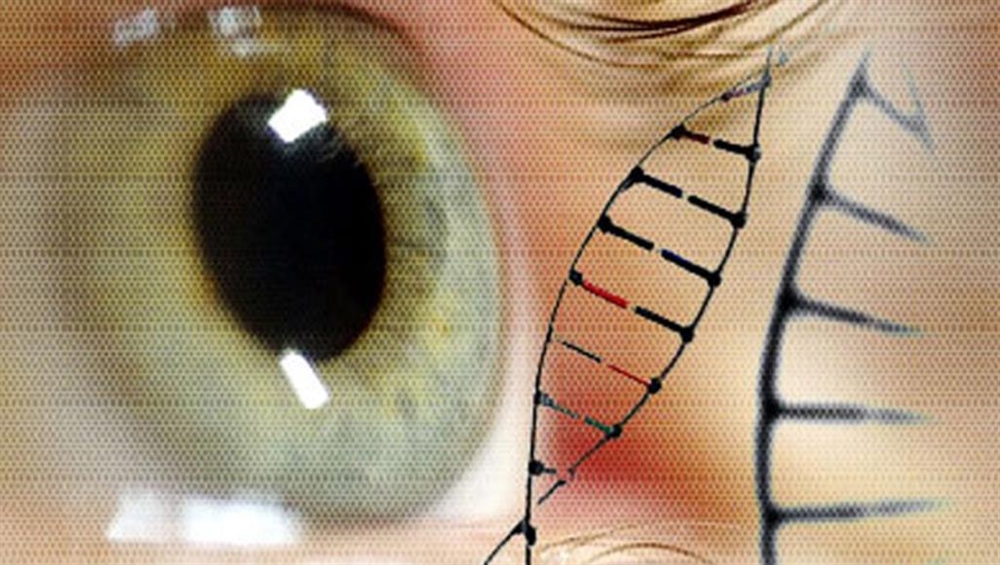 5 ابتكارات طبية قد تساعد على علاج العمى.. تعرف عليها