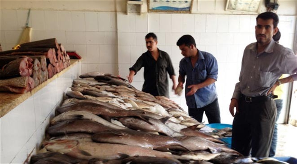 الثروة السمكية توقف تصدير بعض الأسماك "النادرة" مؤقتا (وثيقة)