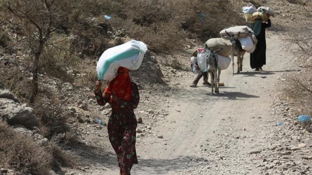 منظمة دولية: ربع مليون يمني نزحوا من الحديدة منذ توقيع اتفاق ستوكهولم