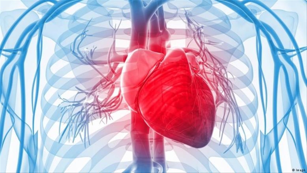 دراسة: هشاشة العظام تزيد خطر الوفاة بأمراض القلب