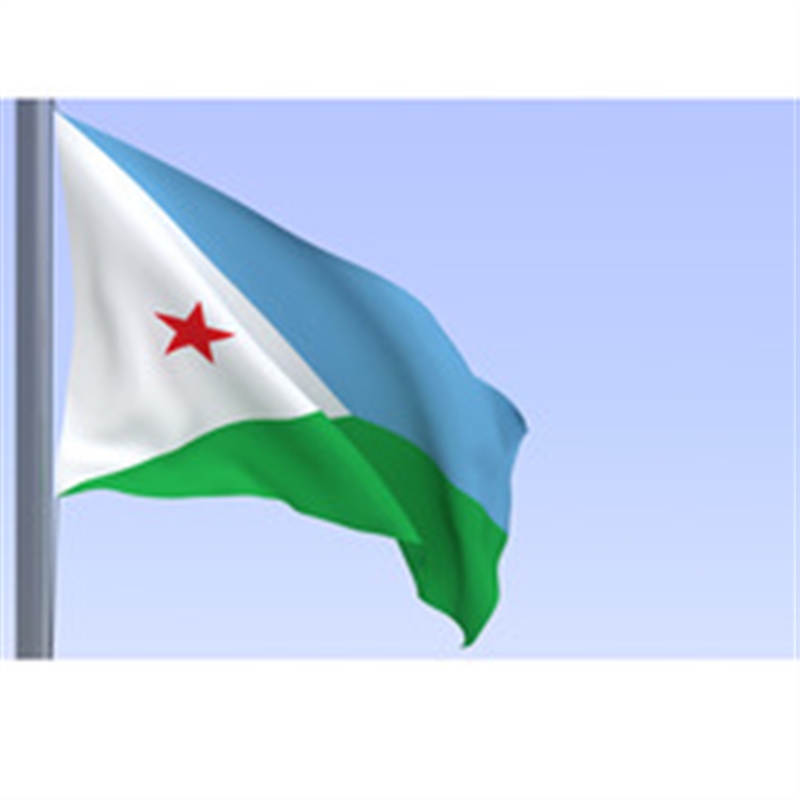 جيبوتي تؤكد مجددا موقفها الداعم للحكومة الشرعية في اليمن
