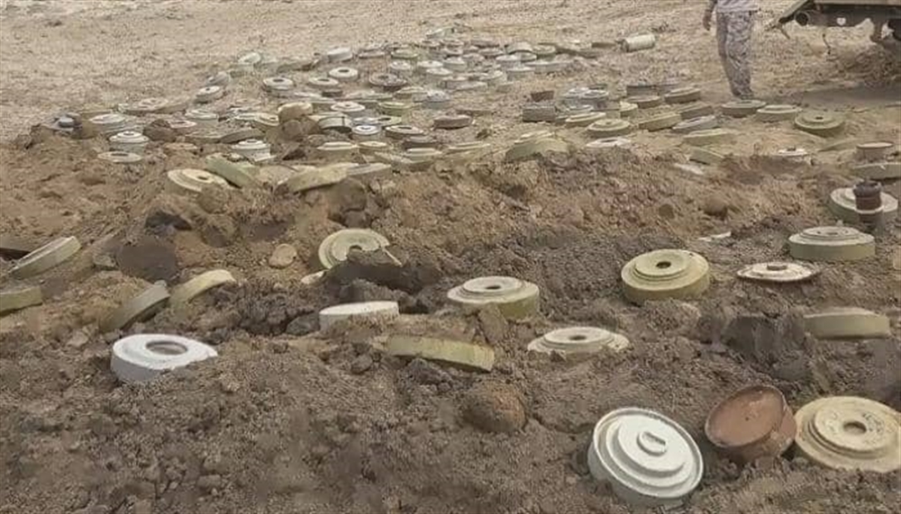 الجيش الوطني ينتزع 100 لغما حوثيا في منطقة الصفراء بصعدة