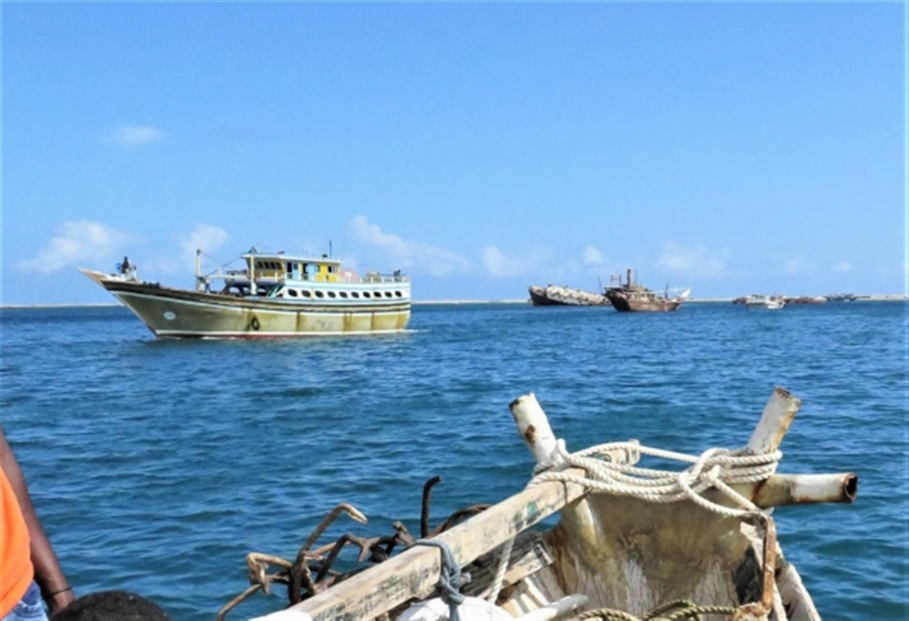 تقرير دولي: سفن إيرانية نفذت في المياه اليمنية أكبر عمليات صيد غير قانوني بالعالم