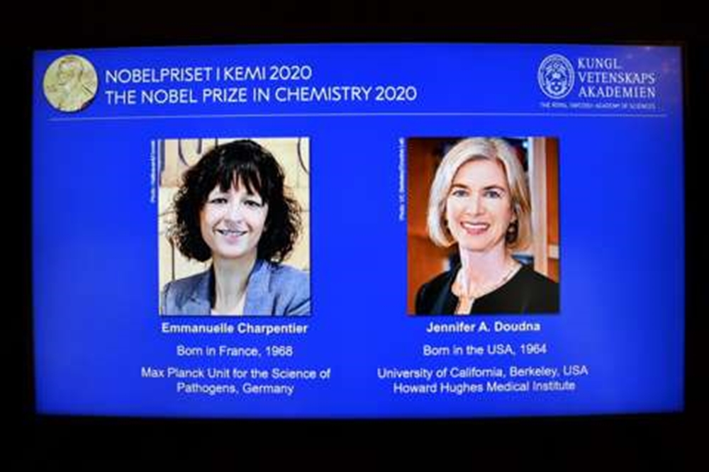نوبل الكيمياء لعالمتين طورتا "مقصات" لتعديل الجينات البشرية
