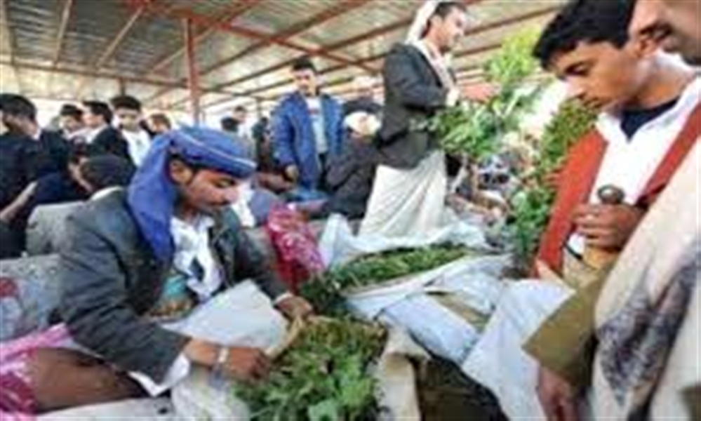 صراعات بين قيادات حوثية على ضرائب القات في صنعاء