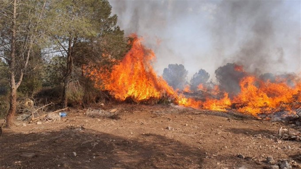 حرائق في الأراضي المحتلة تجلي آلاف الإسرائيليين