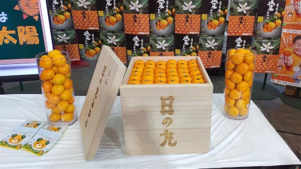 في اليابان.. 100 حبة برتقال تباع بـ10 آلاف دولار.. لماذا؟